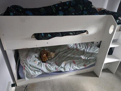 Flair Mystic Low Pod Bunk Bed White Single Wooden with Ladder for Children